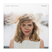 Aoife Fossils CD
