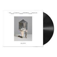 Hell Gate: Wild Classical Music Ensemble & Lee Ranaldo Vinyl LP