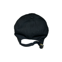 Melt ICE Hat