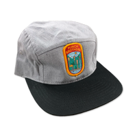 Logo [GREY] Hat