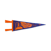2022 Tour Pennant