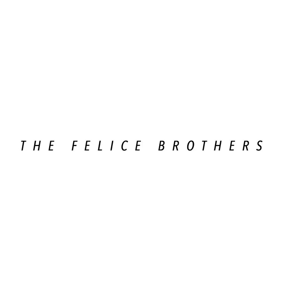 The Felice Brothers