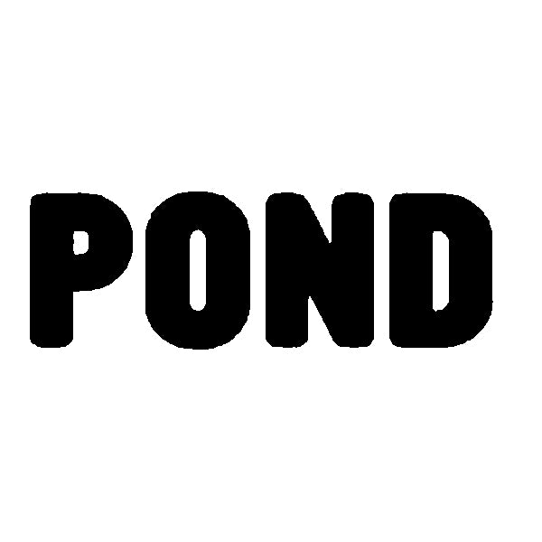 Pond