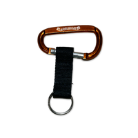Logo Carabiner