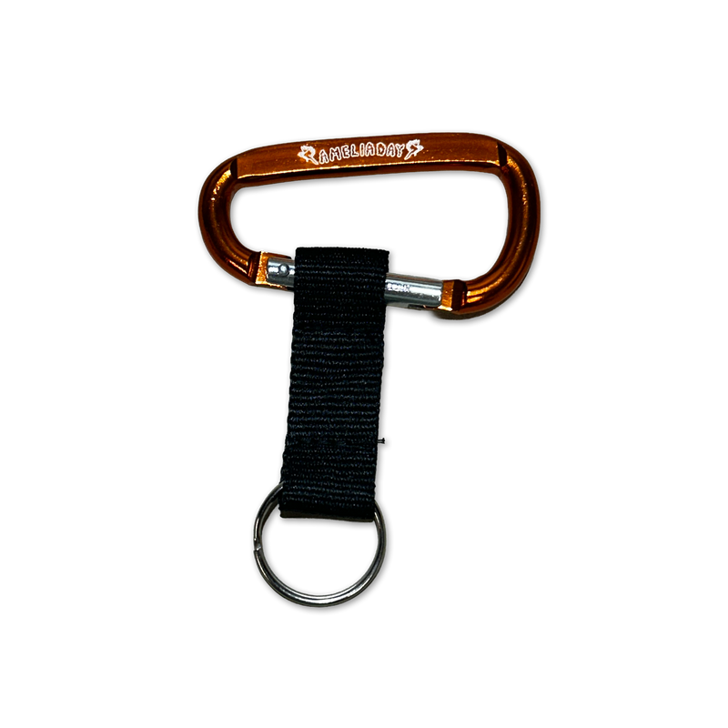 Logo Carabiner