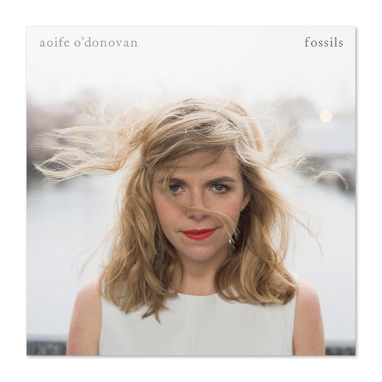 Aoife Fossils CD