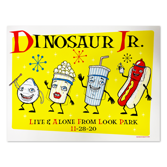 Look Park (11-28-20 Florence, MA) Poster