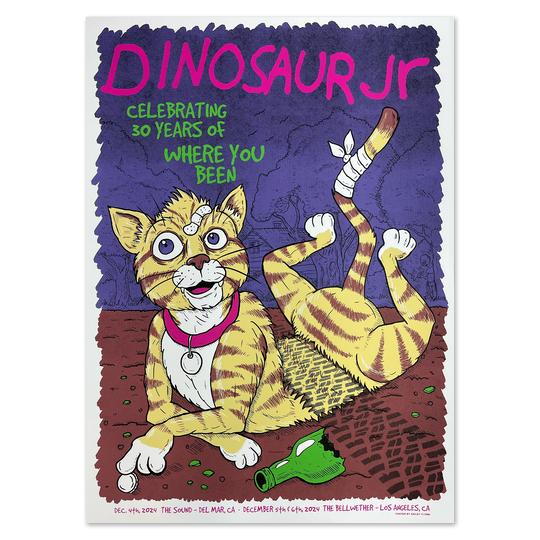 30 Years of Where You Been CA Poster