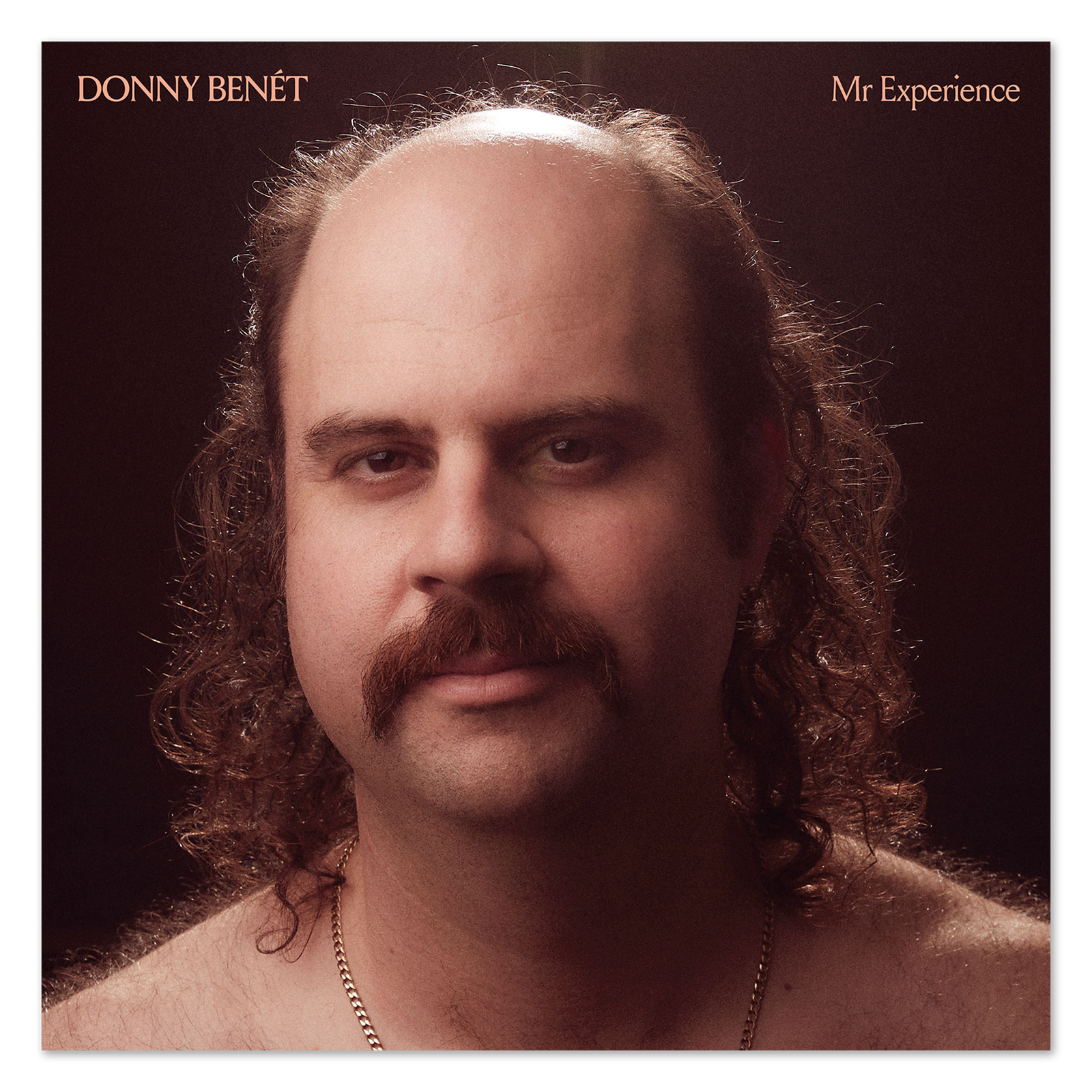 Mr Experience Vinyl LP – Kung Fu Merch Mr Experience Vinyl LP – Kung Fu Merch