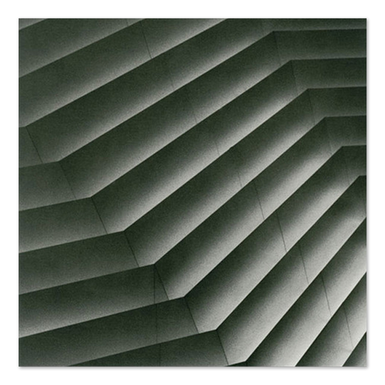 Disappears Era Vinyl LP