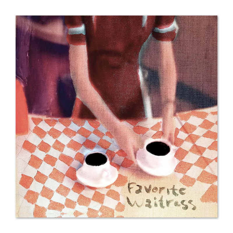 The Felice Brothers Favorite Waitress CD