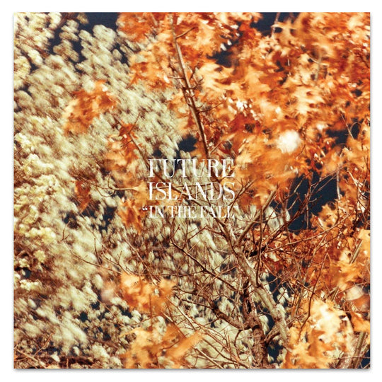 In the Fall Vinyl LP