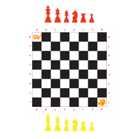 Complete Chess Set