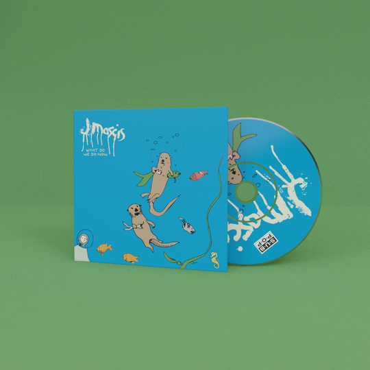 What Do We Do Now CD