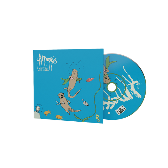 What Do We Do Now CD