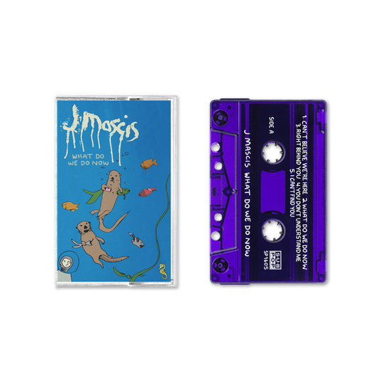 What Do We Do Now Cassette Tape