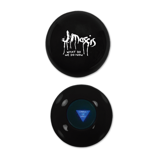 WDWDN Custom 8-Ball