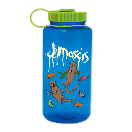 WDWDN Nalgene Water Bottle