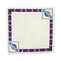 Space Camp Bandana