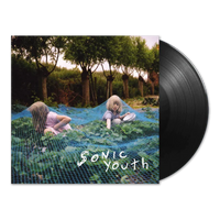 Sonic Youth Murray Street REISSUE Vinyl LP