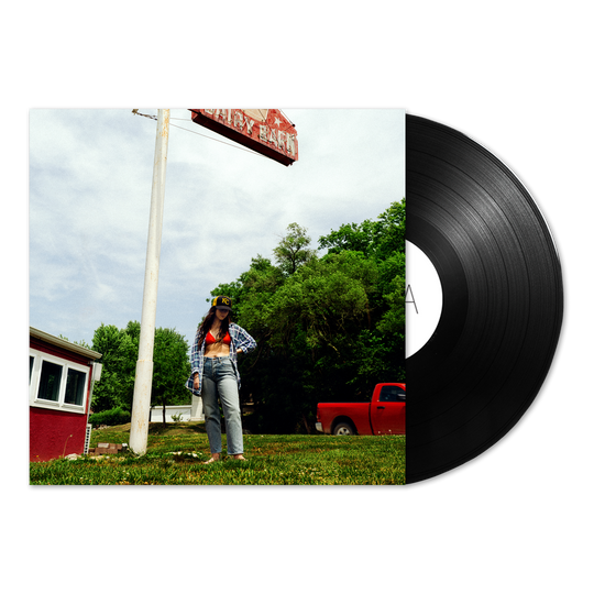 Tigers Blood (Black) Vinyl LP