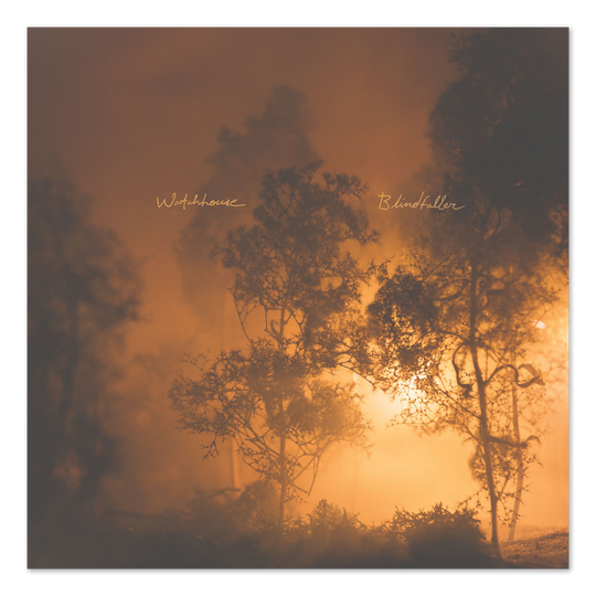 Blindfaller Vinyl LP