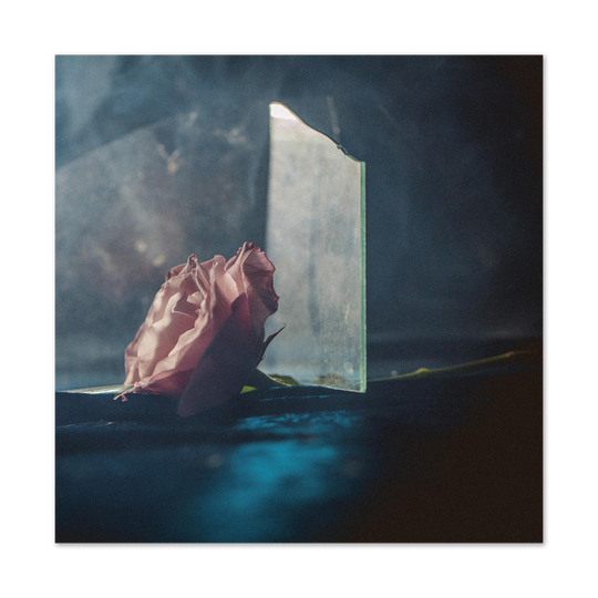 In Virus Times Vinyl LP