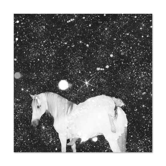 Apocalypse Love Vinyl LP