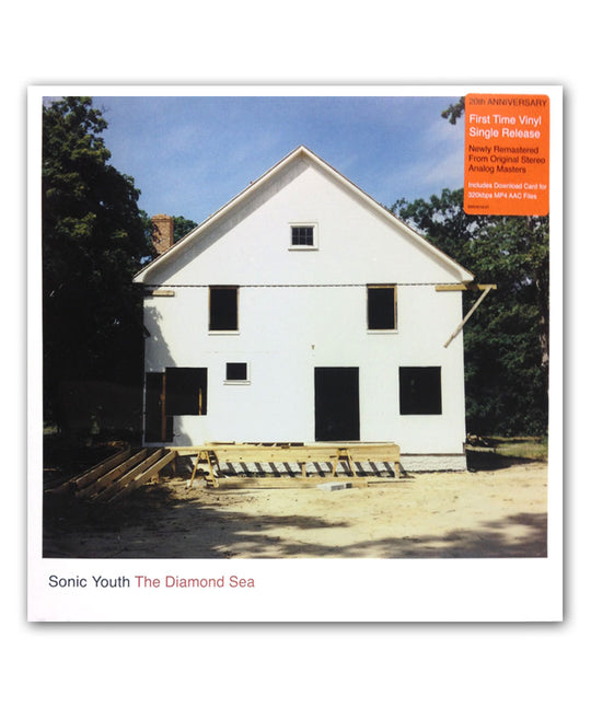 Sonic Youth The Diamond Sea 12" Vinyl