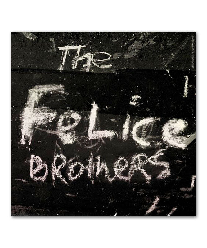 The Felice Brothers Self-Titled CD